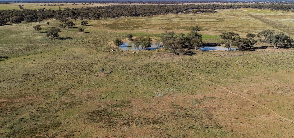 256 Cockies Road, Buddabadah, NSW, 2825 - Image 29