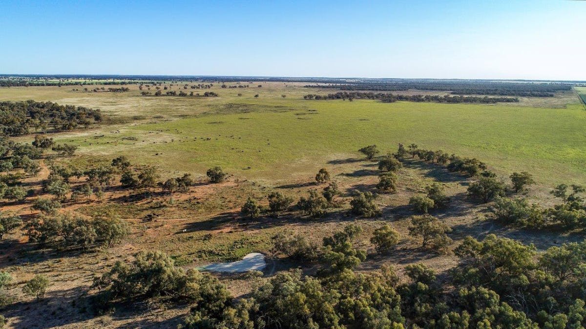 256 Cockies Road, Buddabadah, NSW, 2825 - Image 31