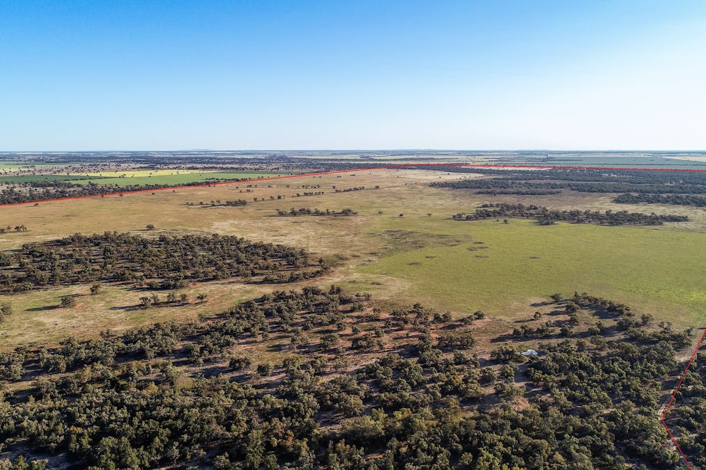 256 Cockies Road, Buddabadah, NSW, 2825 - Image 2