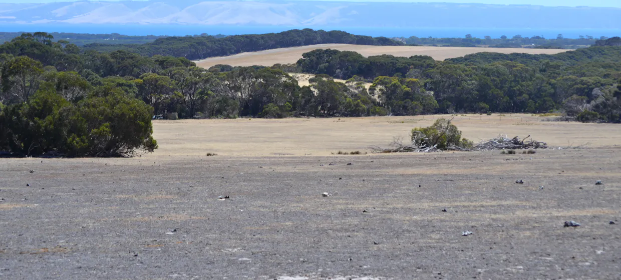 1870 Willson River Road, Porky Flat, SA, 5222 - Image 3