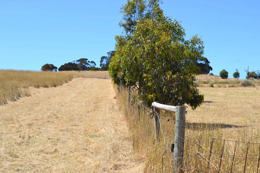 1870 Willson River Road, Porky Flat, SA, 5222 - Image 5