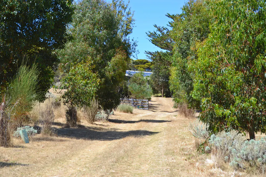 1870 Willson River Road, Porky Flat, SA, 5222 - Image 6