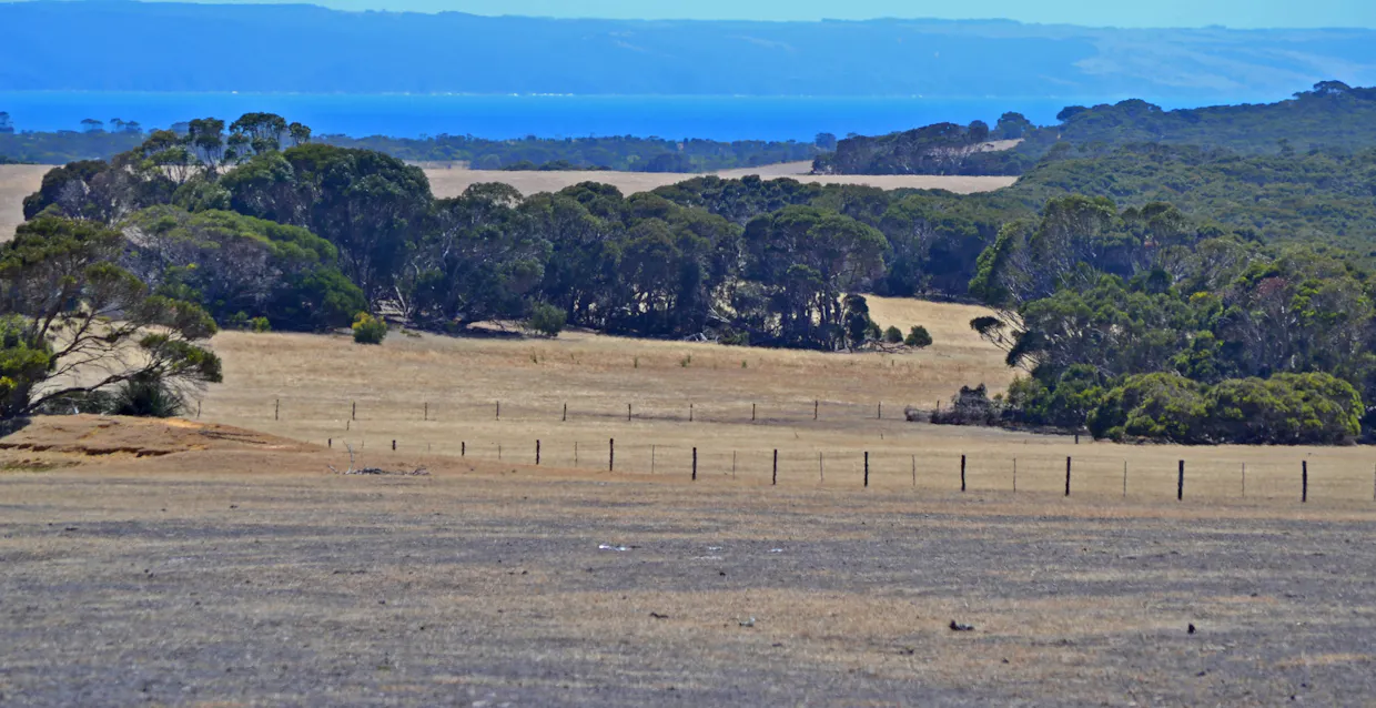 1870 Willson River Road, Porky Flat, SA, 5222 - Image 13