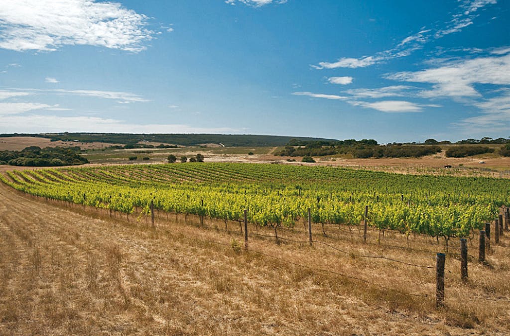 Lot 21 Cape Willoughby Road, Antechamber Bay, SA, 5222 - Image 1