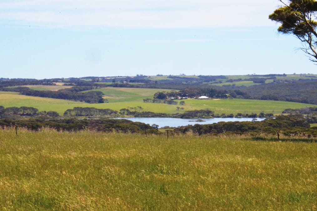 Lot 381 Cape Willoughby Road, Willoughby, SA, 5222 - Image 2