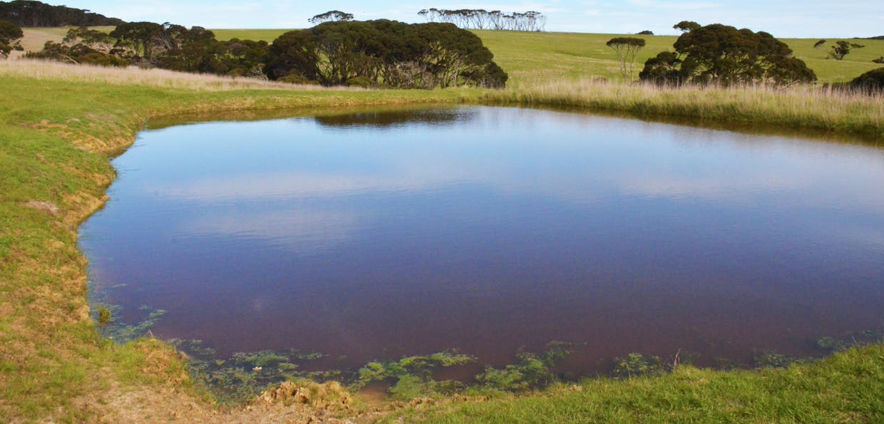 Lot 381 Cape Willoughby Road, Willoughby, SA, 5222 - Image 3