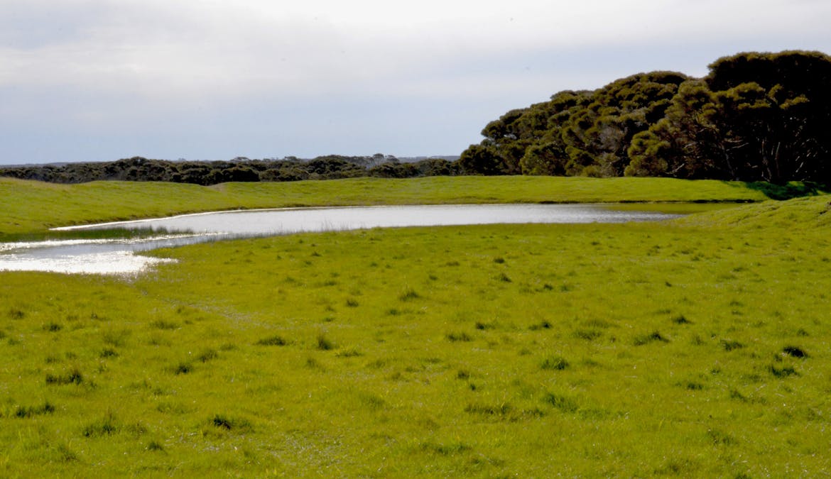 Lot 381 Cape Willoughby Road, Willoughby, SA, 5222 - Image 4