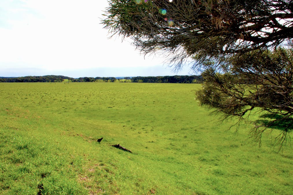 Lot 381 Cape Willoughby Road, Willoughby, SA, 5222 - Image 6