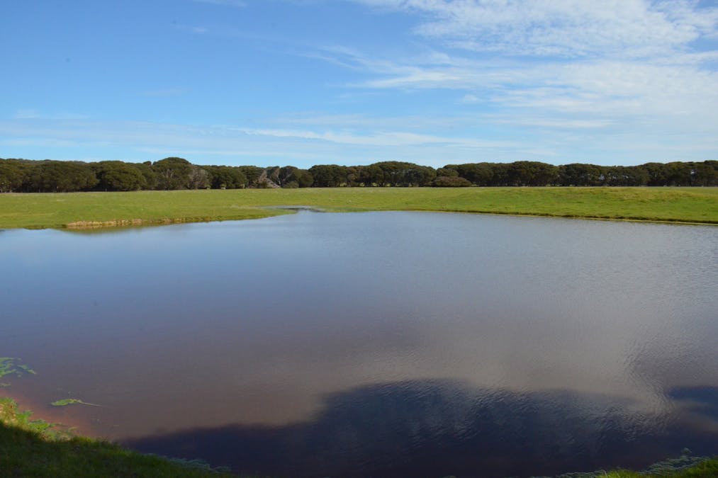 Lot 381 Cape Willoughby Road, Willoughby, SA, 5222 - Image 9