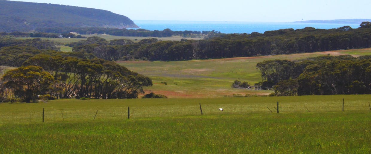 Lot 381 Cape Willoughby Road, Willoughby, SA, 5222 - Image 1