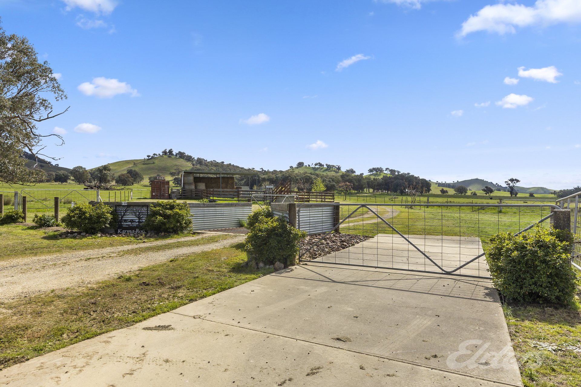 Cows with calves top at $1700 at Carcoar, The Land