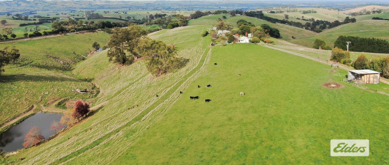 1300 Mardan Road, Mardan, VIC, 3953 - Image 4
