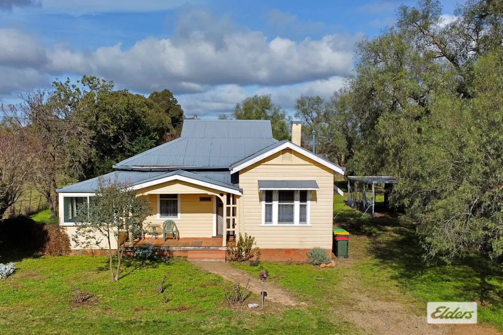 8 Florance Street, Cootamundra, NSW, 2590 - Image 3