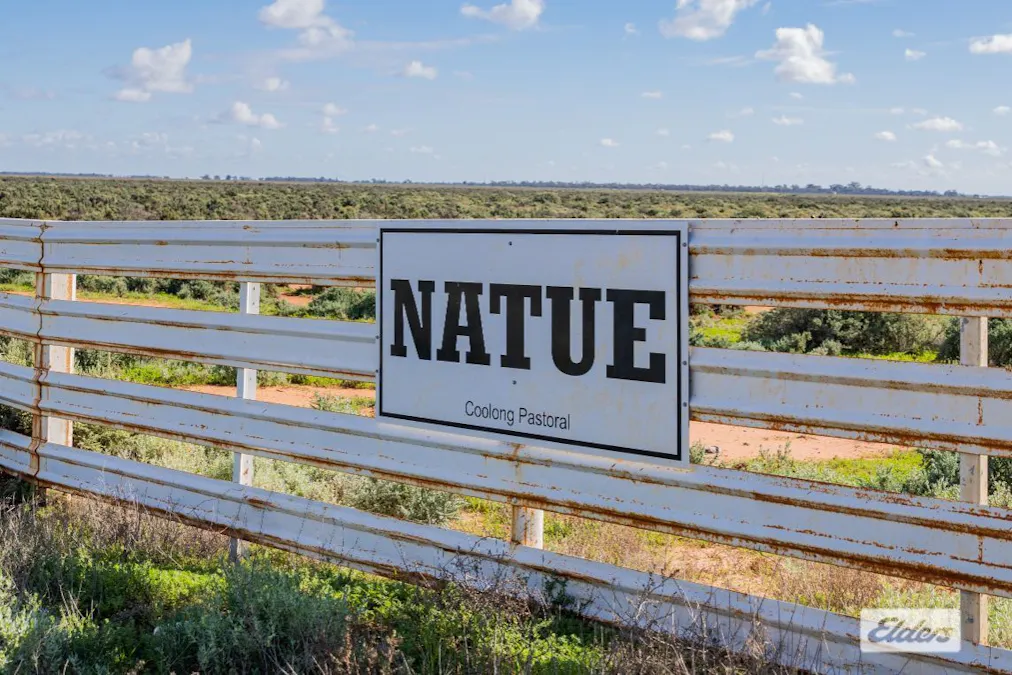 Alma Road, Booligal, NSW, 2711 - Image 4