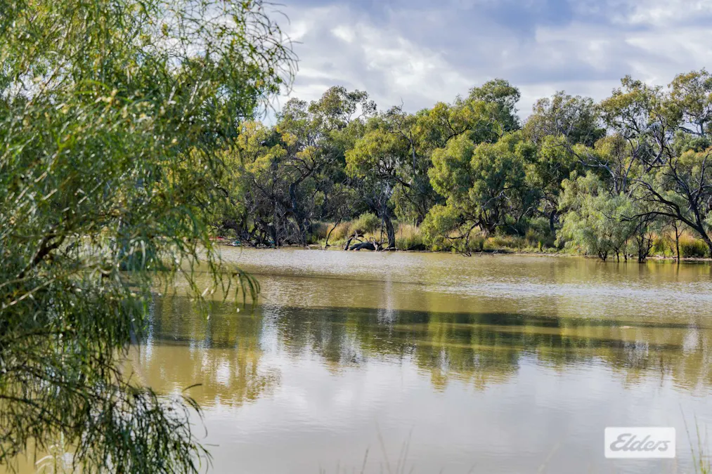 Alma Road, Booligal, NSW, 2711 - Image 8