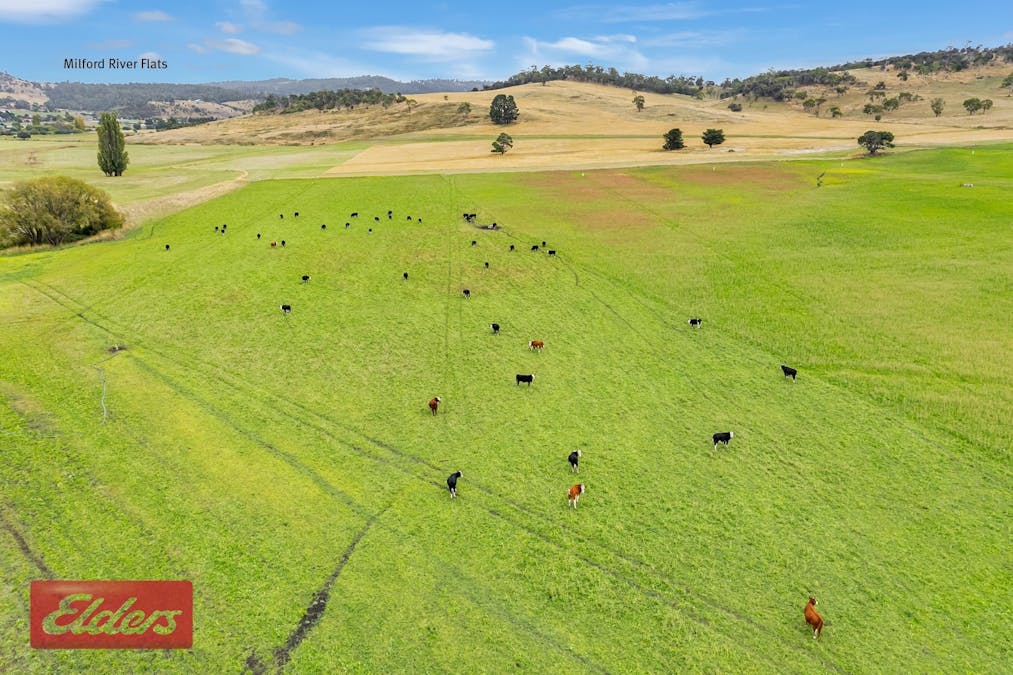 45 Eddington Road, Bagdad, TAS, 7030 - Image 5