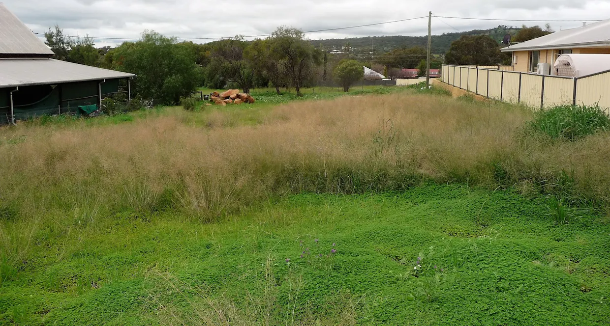 81 Georgiana Street, York, WA, 6302 - Image 3