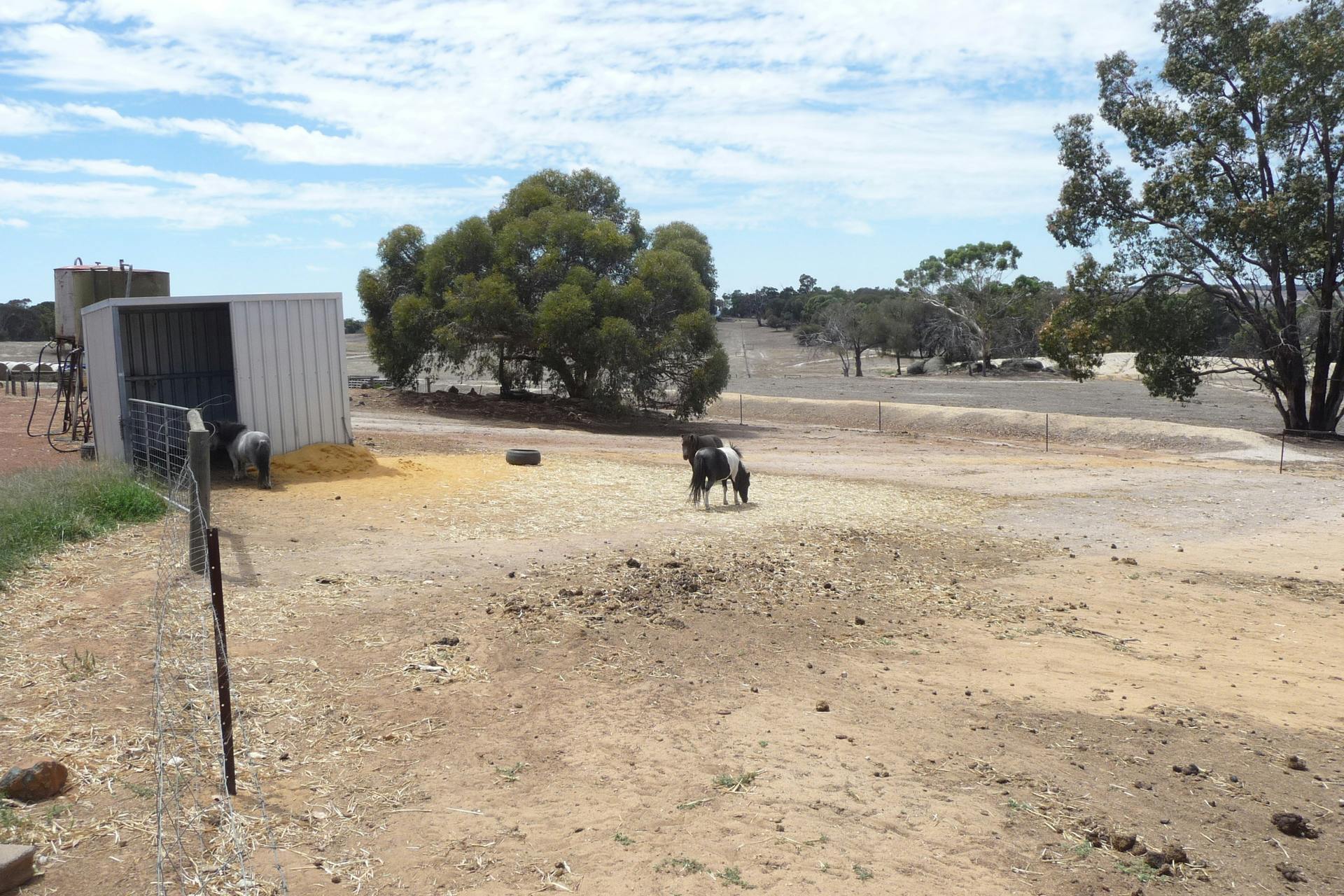 8488 Brookton Highway, Brookton, WA, 6306 Sold Elders Real Estate