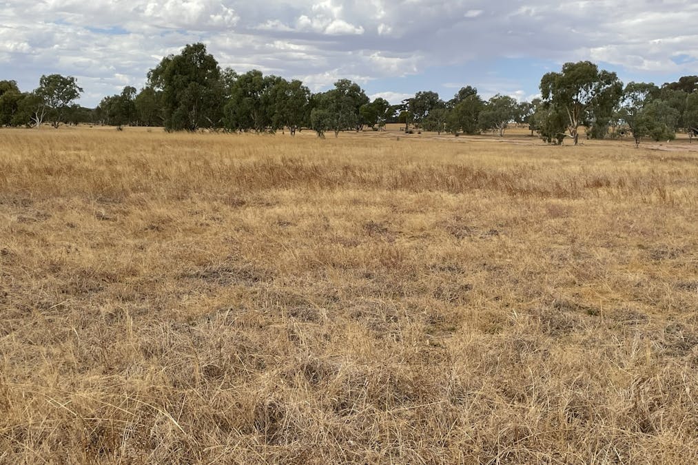 440 Caroling-Bally Bally Road, Beverley, WA, 6304 - Image 19