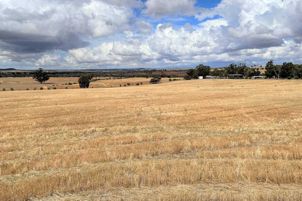 164 Station Road, York, WA, 6302 - Image 6