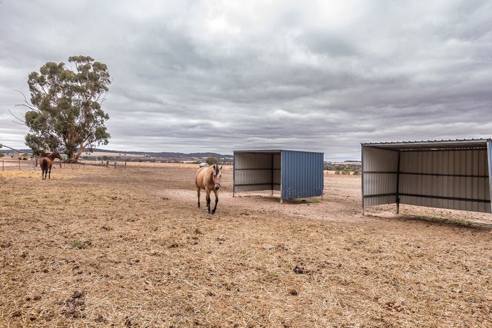 164 Station Road, York, WA, 6302 - Image 20