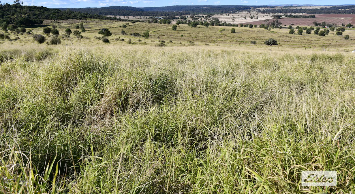 134 Nollers Road, Silverleigh, QLD, 4401 - Image 26