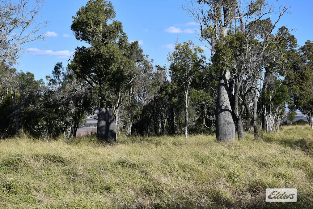 134 Nollers Road, Silverleigh, QLD, 4401 - Image 27