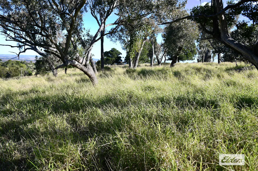 134 Nollers Road, Silverleigh, QLD, 4401 - Image 31