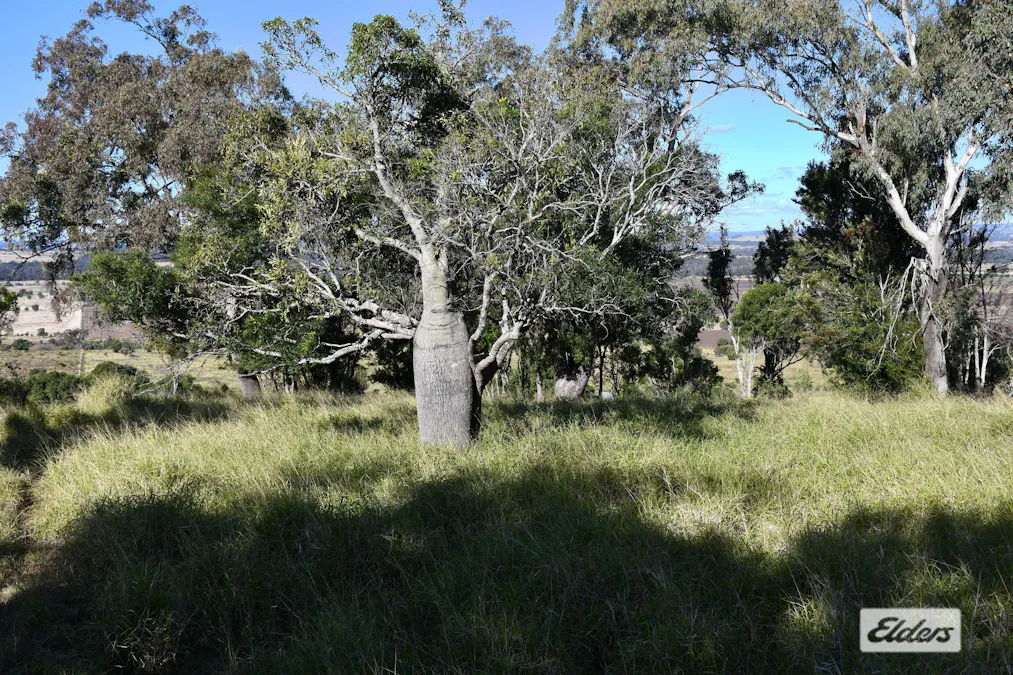 134 Nollers Road, Silverleigh, QLD, 4401 - Image 32