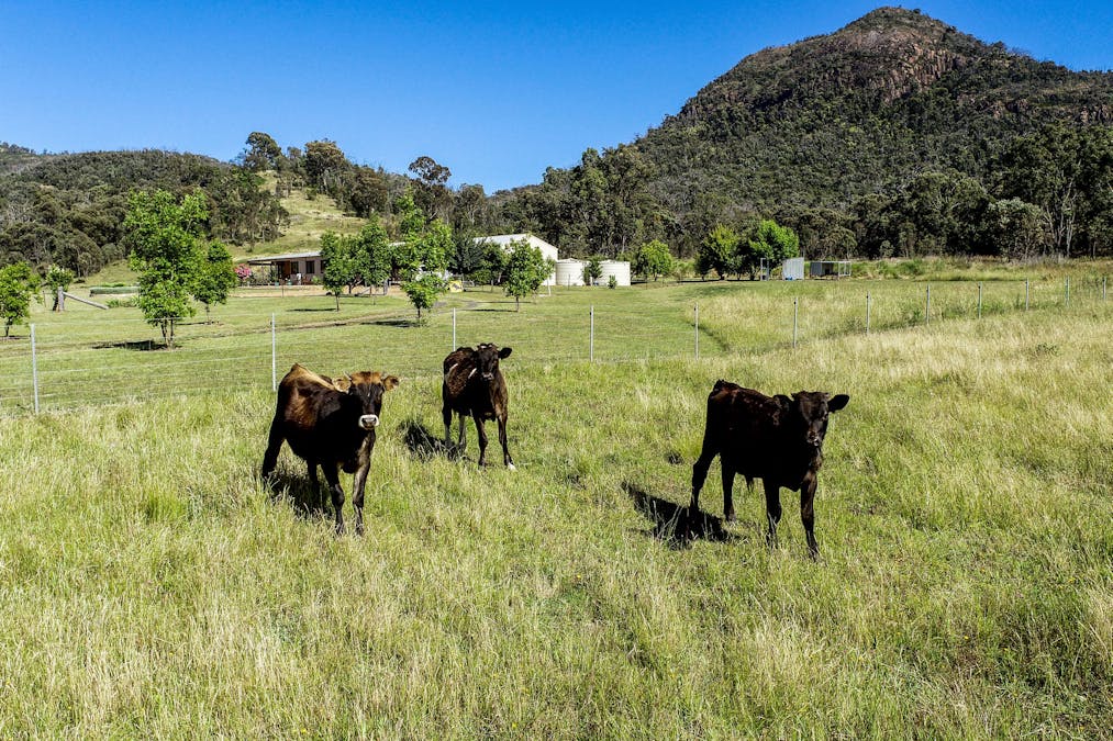 1672 Timor Road, Coonabarabran, NSW, 2357 - Image 22