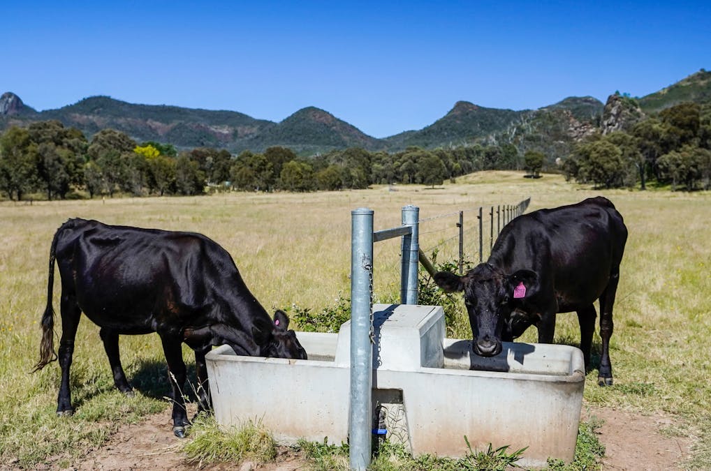 1672 Timor Road, Coonabarabran, NSW, 2357 - Image 15
