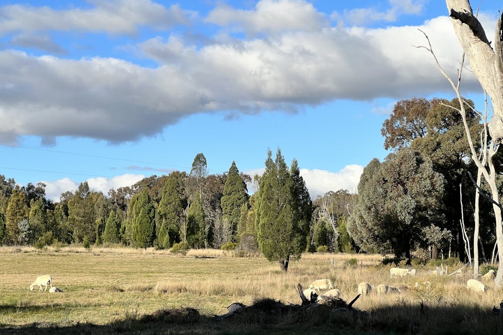 31L Three Farms Road, Dubbo, NSW, 2830 - Image 4