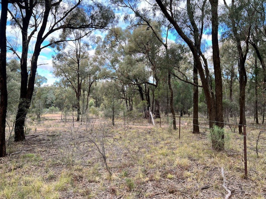 31L Three Farms Road, Dubbo, NSW, 2830 - Image 9