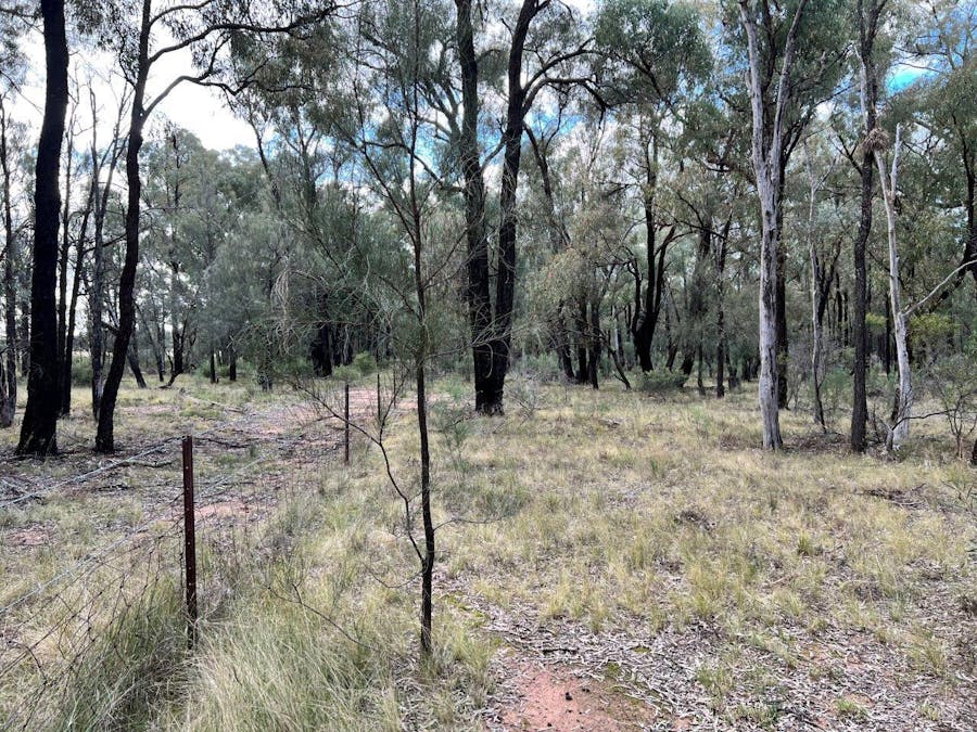 31L Three Farms Road, Dubbo, NSW, 2830 - Image 10