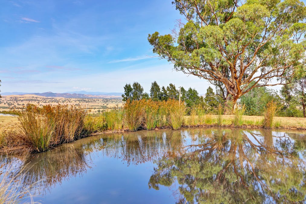 350 Tabletop Road, Bridge Creek, VIC, 3723 - Image 6