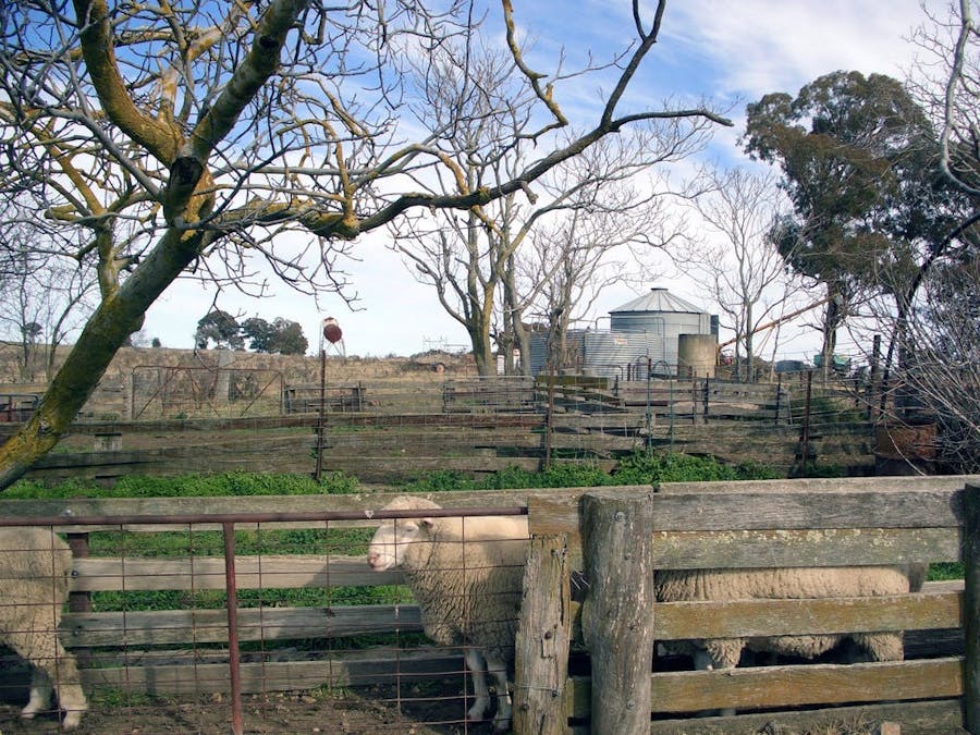 Bathurst, NSW, 2795 - Image 4