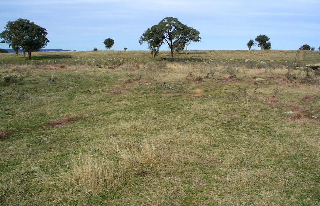 Bathurst, NSW, 2795 - Image 6