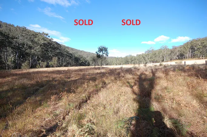 171 Harness Cask Road, Dorrigo, NSW, 2453