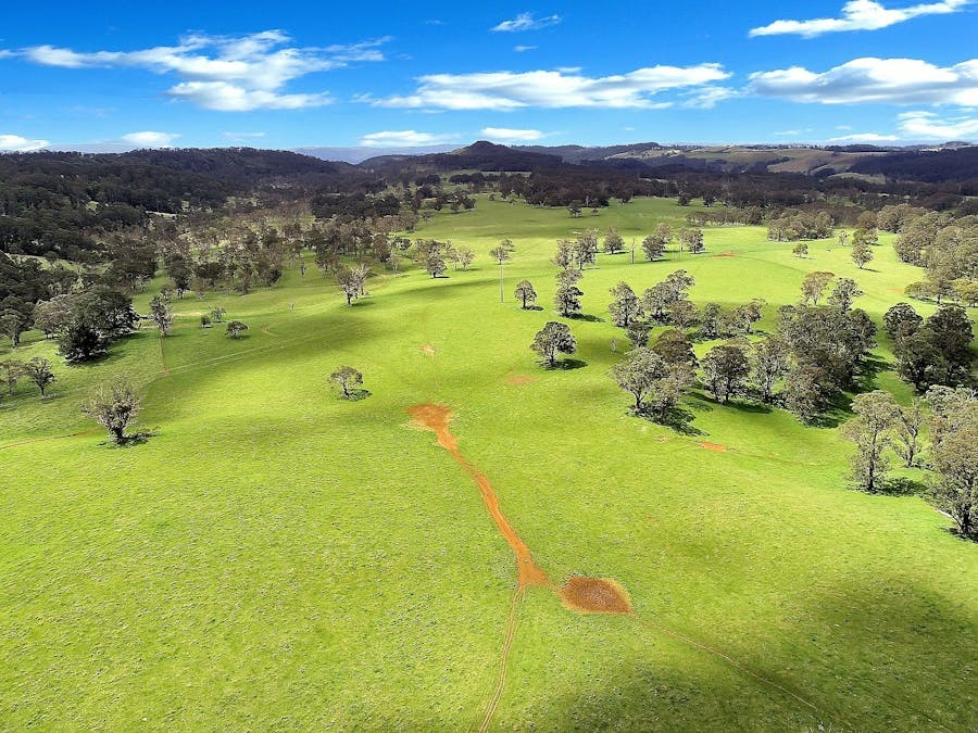 100 Blue Hills Road, Dorrigo, NSW, 2453 - Image 3