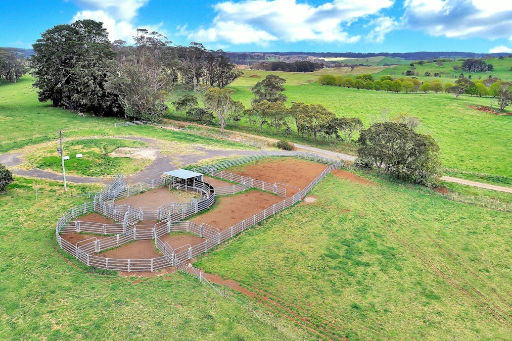 100 Blue Hills Road, Dorrigo, NSW, 2453 - Image 5