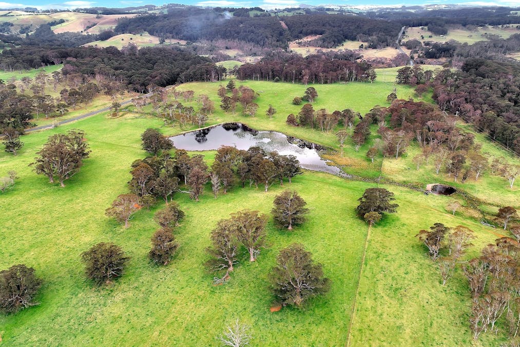100 Blue Hills Road, Dorrigo, NSW, 2453 - Image 6