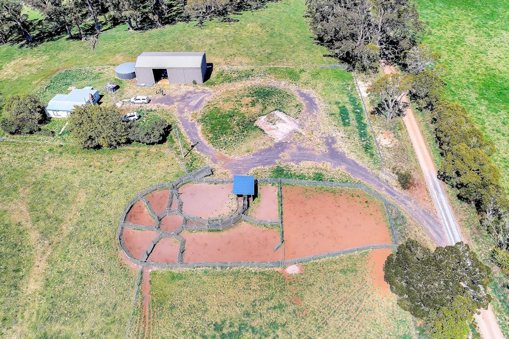 100 Blue Hills Road, Dorrigo, NSW, 2453 - Image 9