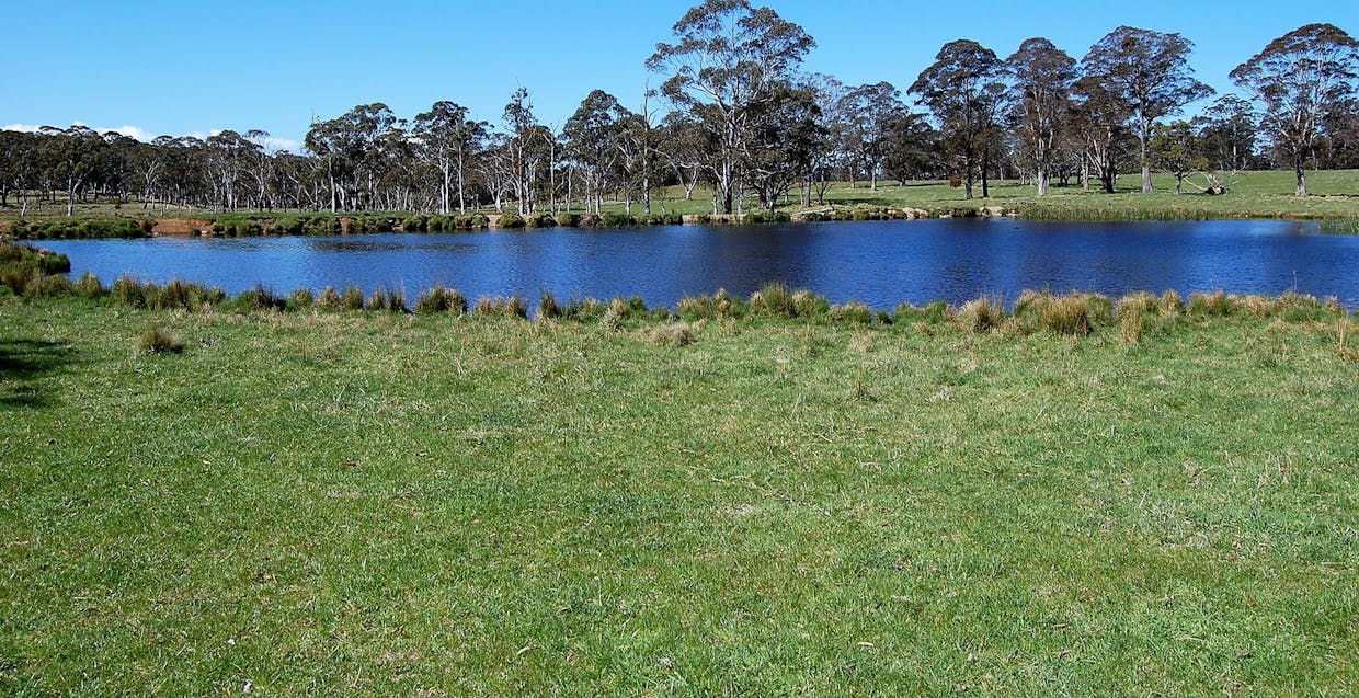 100 Blue Hills Road, Dorrigo, NSW, 2453 - Image 10