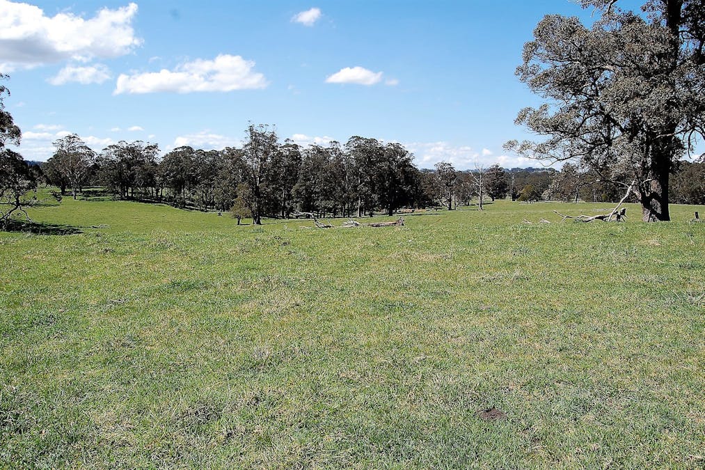 100 Blue Hills Road, Dorrigo, NSW, 2453 - Image 14