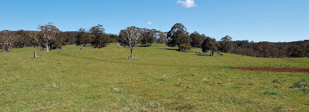 100 Blue Hills Road, Dorrigo, NSW, 2453 - Image 17