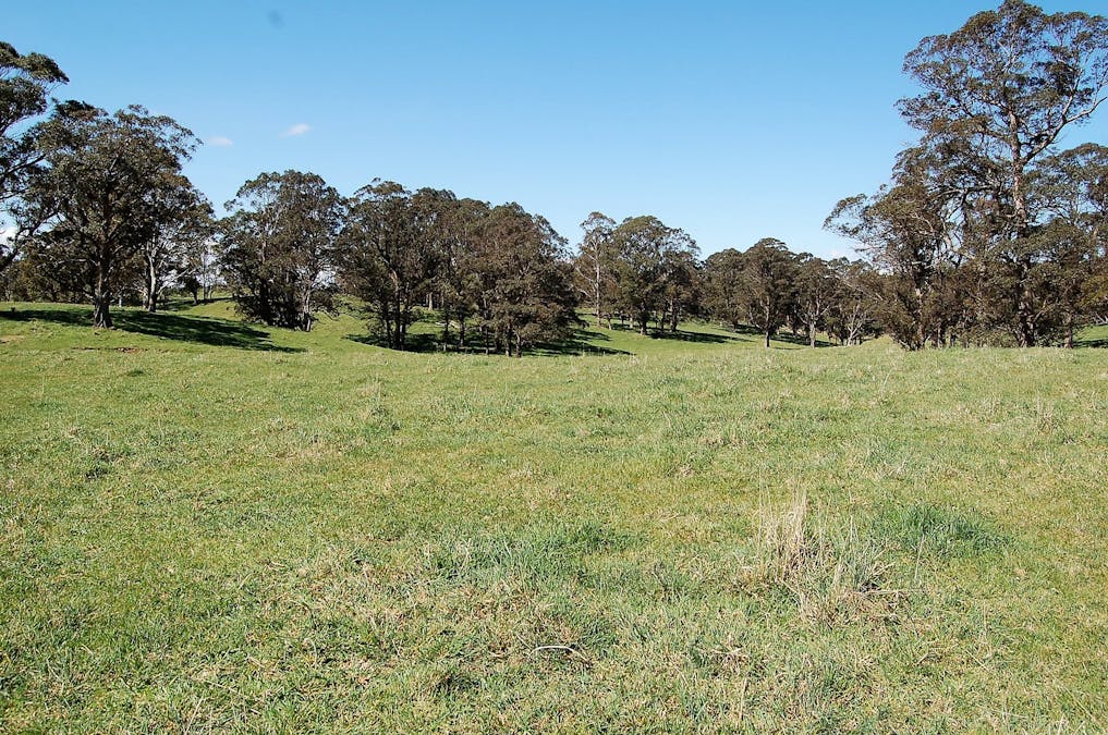 100 Blue Hills Road, Dorrigo, NSW, 2453 - Image 18