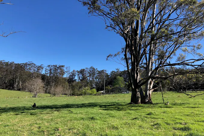 Billys Creek, NSW, 2453