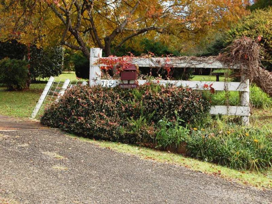 725 Tyringham Road, Dorrigo, NSW, 2453 - Image 1