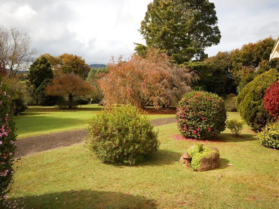 725 Tyringham Road, Dorrigo, NSW, 2453 - Image 9