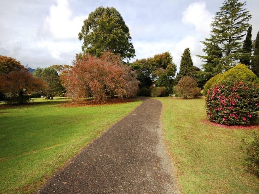 725 Tyringham Road, Dorrigo, NSW, 2453 - Image 10